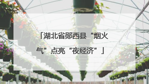湖北省郧西县“烟火气”点亮“夜经济”