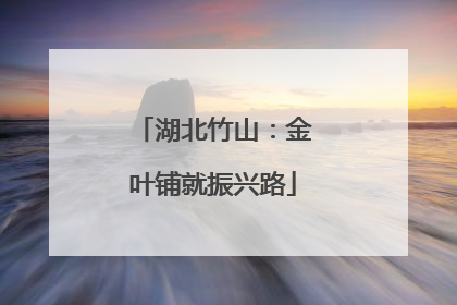 湖北竹山：金叶铺就振兴路