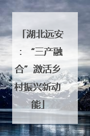 湖北远安：“三产融合”激活乡村振兴新动能