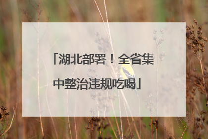 湖北部署！全省集中整治违规吃喝