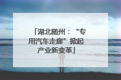 湖北随州：“专用汽车走廊”掀起产业新变革