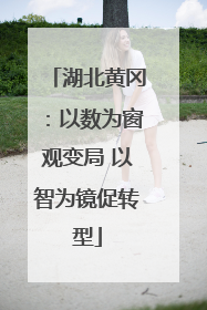 湖北黄冈：以数为窗观变局 以智为镜促转型