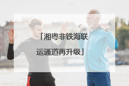 湘粤非铁海联运通道再升级