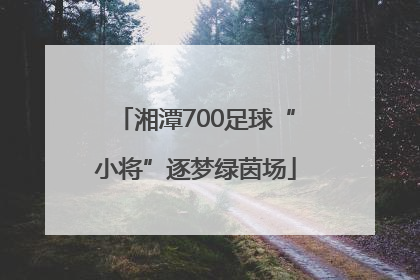 湘潭700足球“小将”逐梦绿茵场