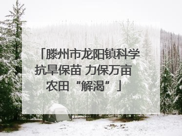 滕州市龙阳镇科学抗旱保苗 力保万亩农田“解渴”