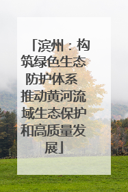 滨州：构筑绿色生态防护体系 推动黄河流域生态保护和高质量发展