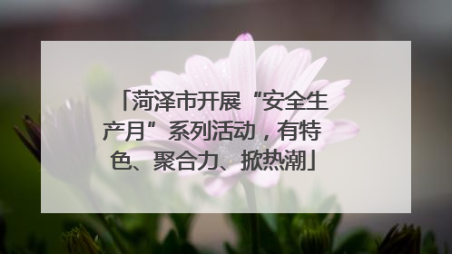 菏泽市开展“安全生产月”系列活动，有特色、聚合力、掀热潮