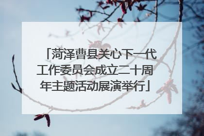 菏泽曹县关心下一代工作委员会成立二十周年主题活动展演举行