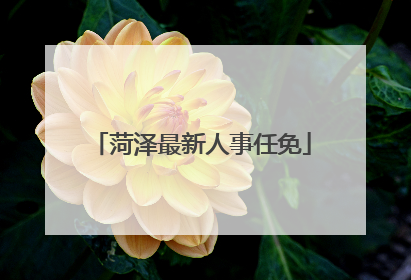 菏泽最新人事任免