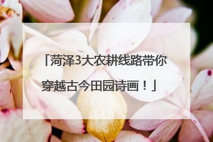 菏泽3大农耕线路带你穿越古今田园诗画！