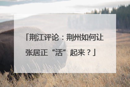荆江评论：荆州如何让张居正“活”起来？