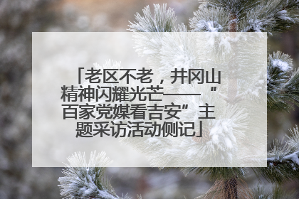 老区不老，井冈山精神闪耀光芒——“百家党媒看吉安”主题采访活动侧记