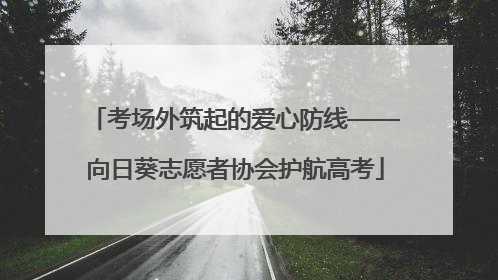 考场外筑起的爱心防线——向日葵志愿者协会护航高考