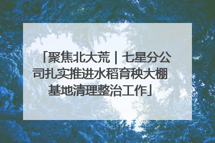 聚焦北大荒｜七星分公司扎实推进水稻育秧大棚基地清理整治工作