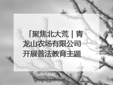 聚焦北大荒｜青龙山农场有限公司开展普法教育主题党日活动
