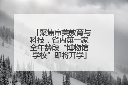 聚焦审美教育与科技，省内第一家全年龄段“博物馆学校”即将开学