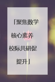 聚焦数学核心素养 校际共研促提升