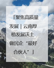 聚焦高质量发展｜云南厚植发展沃土 做民企“最好合伙人”