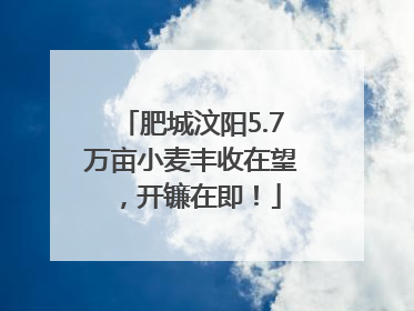 肥城汶阳5.7万亩小麦丰收在望，开镰在即！