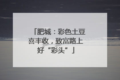 肥城：彩色土豆喜丰收，致富路上好“彩头”