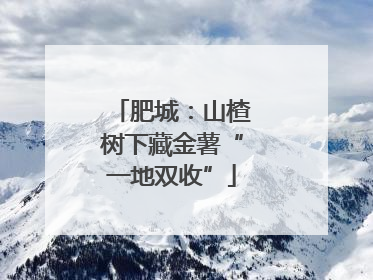 肥城：山楂树下藏金薯“一地双收”