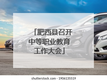 肥西县召开中等职业教育工作大会