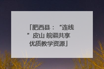 肥西县：“连线”皮山 皖疆共享优质教学资源