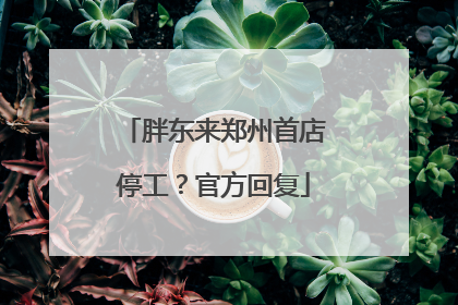 胖东来郑州首店停工？官方回复
