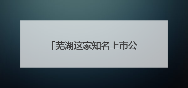 芜湖这家知名上市公司，中国行业第一！