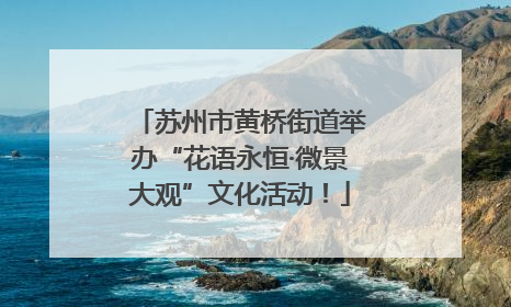 苏州市黄桥街道举办“花语永恒·微景大观”文化活动！