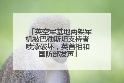英空军基地两架军机被巴勒斯坦支持者喷漆破坏，英首相和国防部发声
