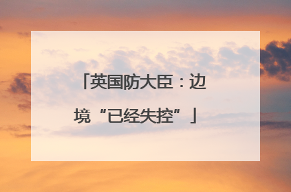 英国防大臣：边境“已经失控”