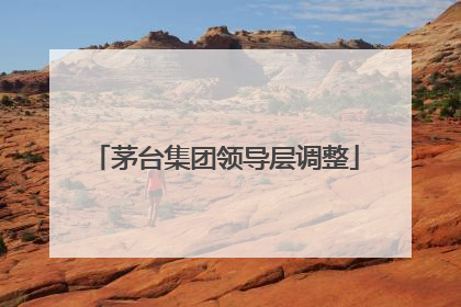 茅台集团领导层调整