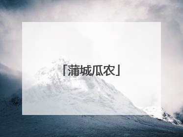 蒲城瓜农