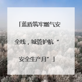 蓝盾筑牢燃气安全线，城管护航“安全生产月”