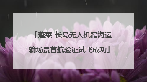蓬莱-长岛无人机跨海运输场景首航验证试飞成功