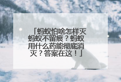 蚂蚁怕啥怎样灭蚂蚁不留痕？蚂蚁用什么药能彻底消灭？答案在这！