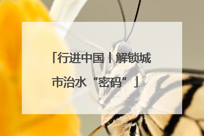 行进中国丨解锁城市治水“密码”