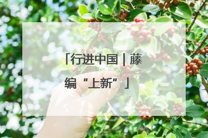 行进中国｜藤编“上新”