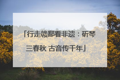 行走赣鄱看非遗：斫琴三春秋 古音传千年