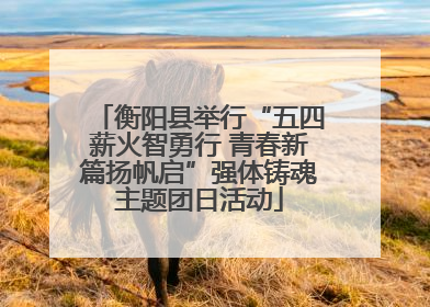 衡阳县举行“五四薪火智勇行 青春新篇扬帆启”强体铸魂主题团日活动