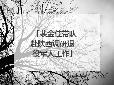 裴金佳带队赴陕西调研退役军人工作