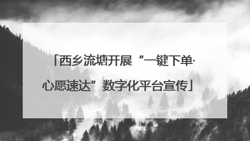 西乡流塘开展“一键下单·心愿速达”数字化平台宣传