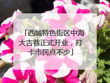西城特色街区中海大吉巷正式开业，打卡市民真不少