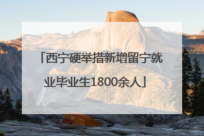 西宁硬举措新增留宁就业毕业生1800余人