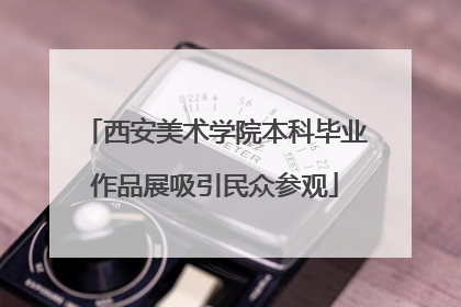 西安美术学院本科毕业作品展吸引民众参观