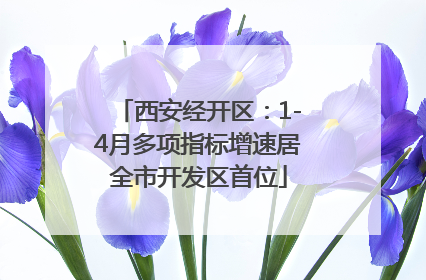 西安经开区：1-4月多项指标增速居全市开发区首位