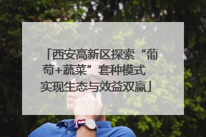 西安高新区探索“葡萄+蔬菜”套种模式 实现生态与效益双赢