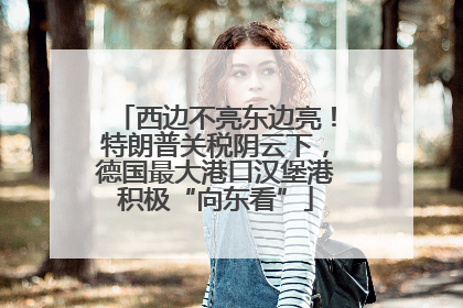 西边不亮东边亮！特朗普关税阴云下，德国最大港口汉堡港积极“向东看”