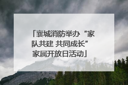 襄城消防举办“家队共建 共同成长”家属开放日活动